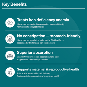 Lipoferric حمض الفوليك – 30 كبسولة